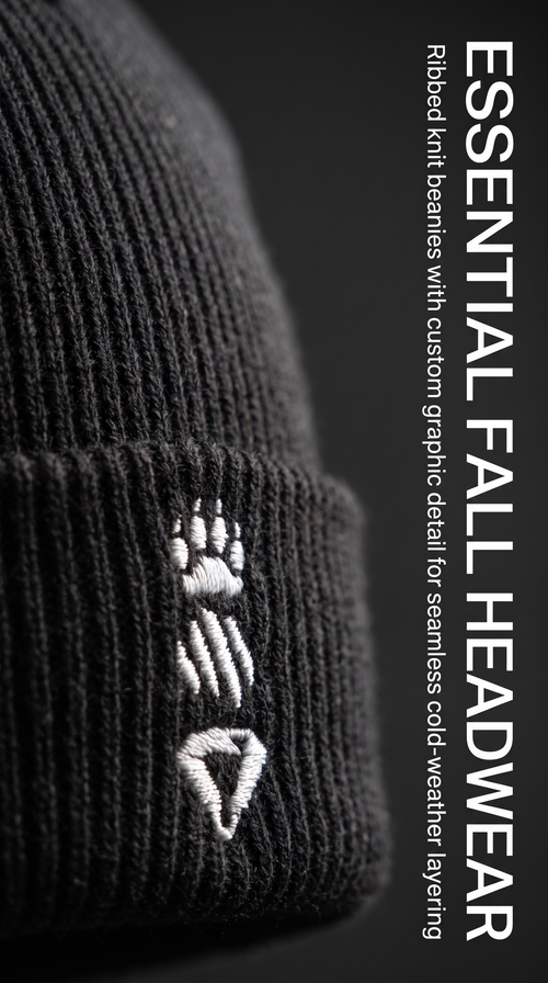Cuffed Beanie
